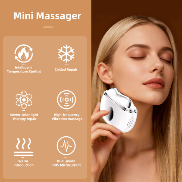 Warm and Cold Gua Sha Device Intelligent Mini Face Massager